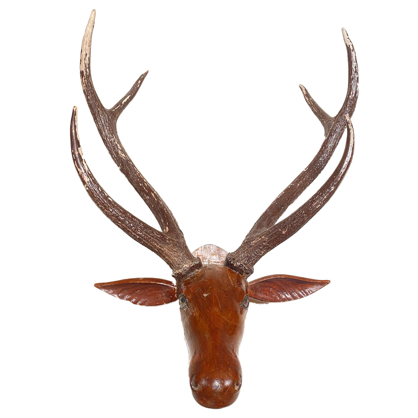 Smiling Deer Head